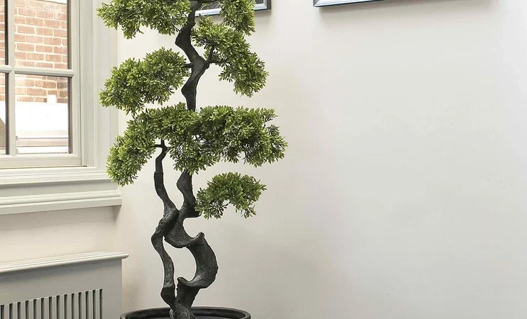 Top 10 Luxurious Indoor Plants Under $500 That Transform Your Space